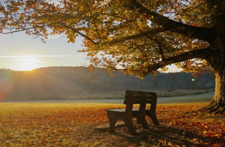 Mindful Breaks You Can Take in Five Minutes